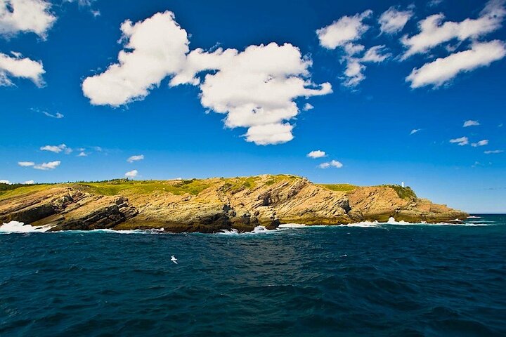 Late Season Puffin & Scenic Coastal Cruise