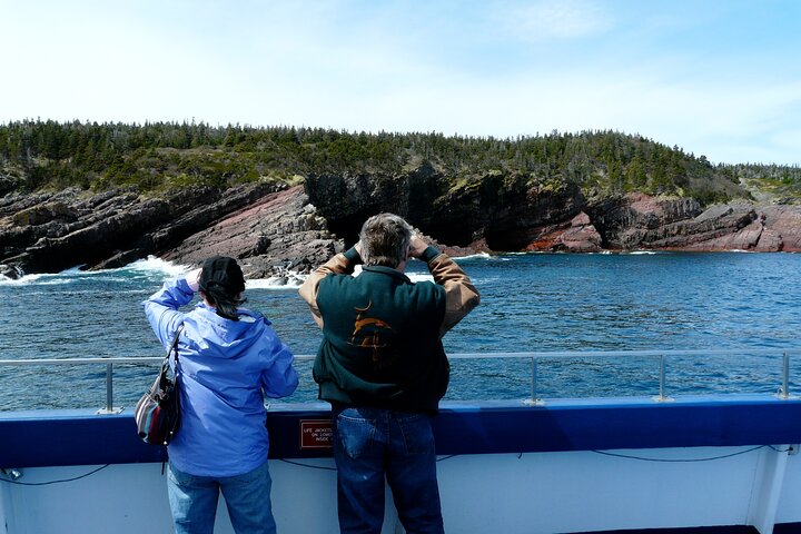 Late Season Puffin & Scenic Coastal Cruise