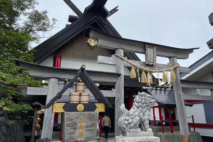 Mt. Fuji and Hakone Day Trip From Tokyo with Bullet Train Option