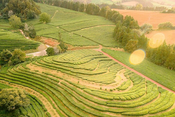 Adventure in the Furnas, with volcanoes, lagoons and tea plantations
