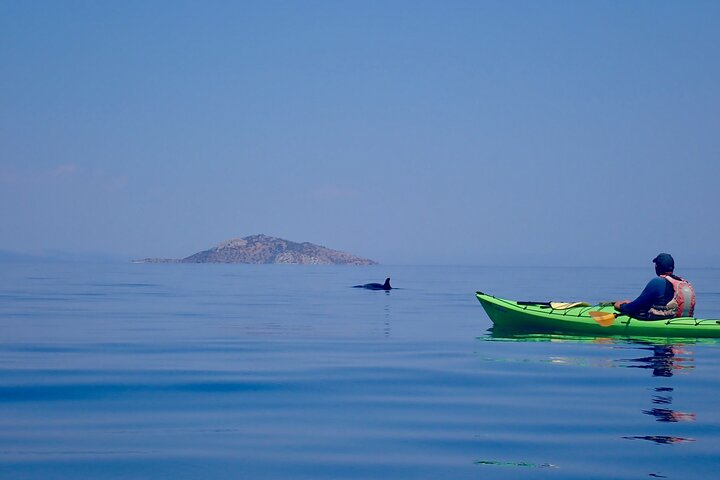 Sea Kayak Epidavros - Ancient Sunken City Tour