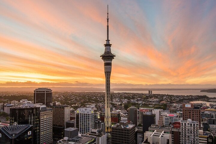 4 hours Sunset Tour on Waiheke Island