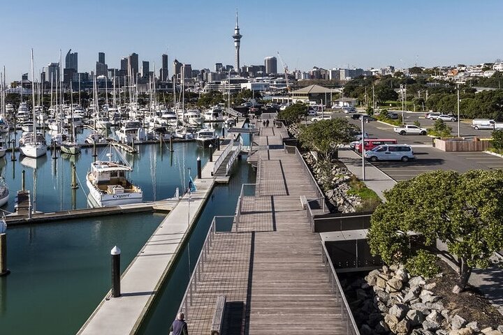 4 hours Sunset Tour on Waiheke Island