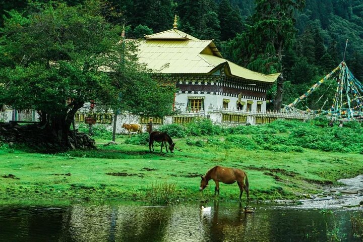 4 Days Yubeng Trekking Tour