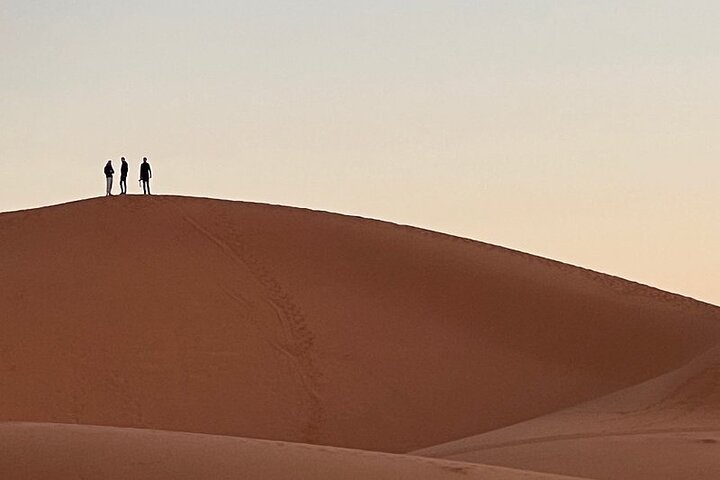 Merzouga Desert Sunrise Walking Trip From Erfoud With Local Guide