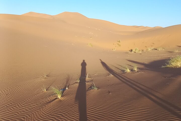 Merzouga Desert Sunrise Walking Trip From Erfoud With Local Guide