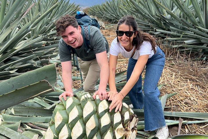 The Mezcal Journey