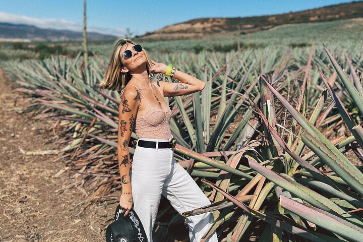The Mezcal Journey