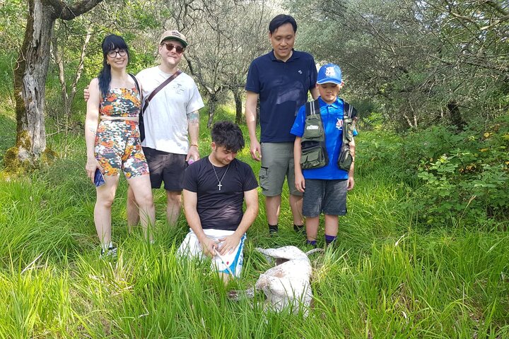 2 hours Private Activity - Truffle hunting in Assisi