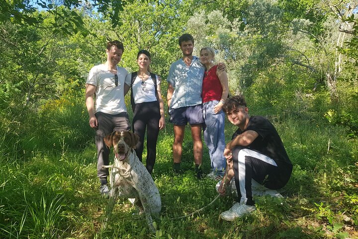 2 hours Private Activity - Truffle hunting in Assisi