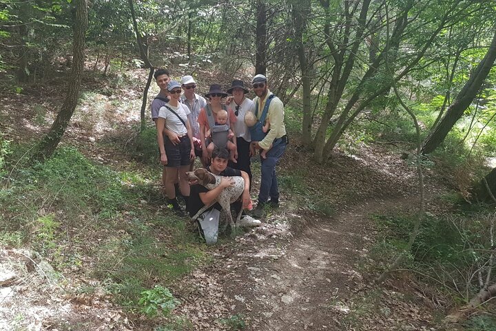 2 hours Private Activity - Truffle hunting in Assisi