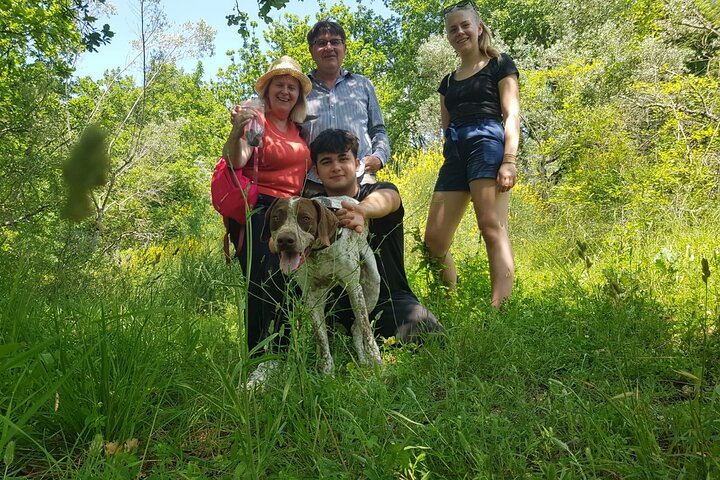 2 hours Private Activity - Truffle hunting in Assisi