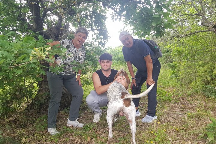 2 hours Private Activity - Truffle hunting in Assisi