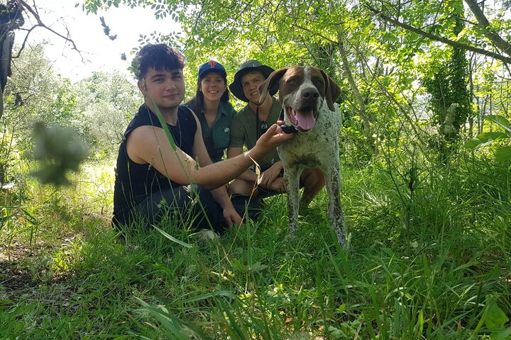 2 hours Private Activity - Truffle hunting in Assisi