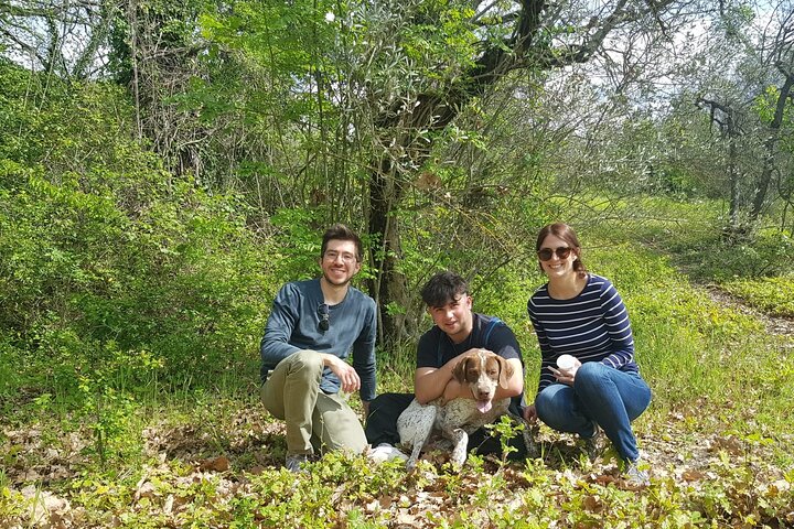 2 hours Private Activity - Truffle hunting in Assisi