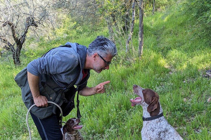 2 hours Private Activity - Truffle hunting in Assisi