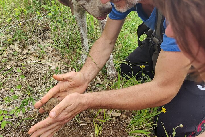 2 hours Private Activity - Truffle hunting in Assisi