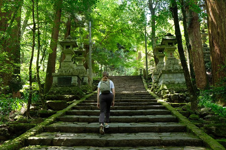 Forest Bathing in Temple and Enjoy onsen with healing power