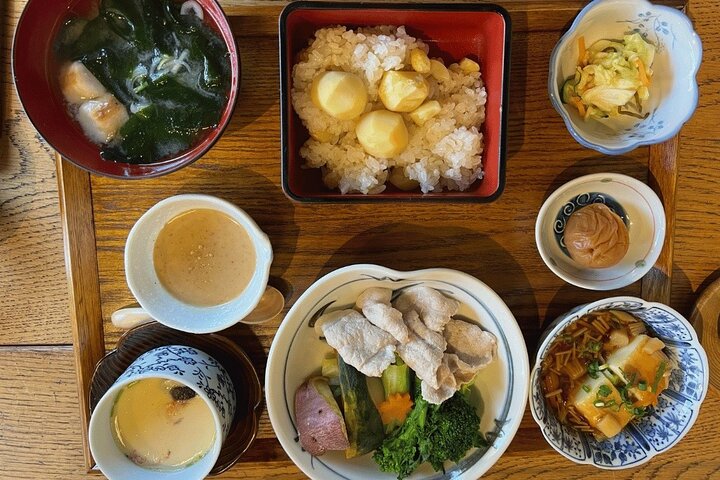 Forest Bathing in Temple and Enjoy onsen with healing power