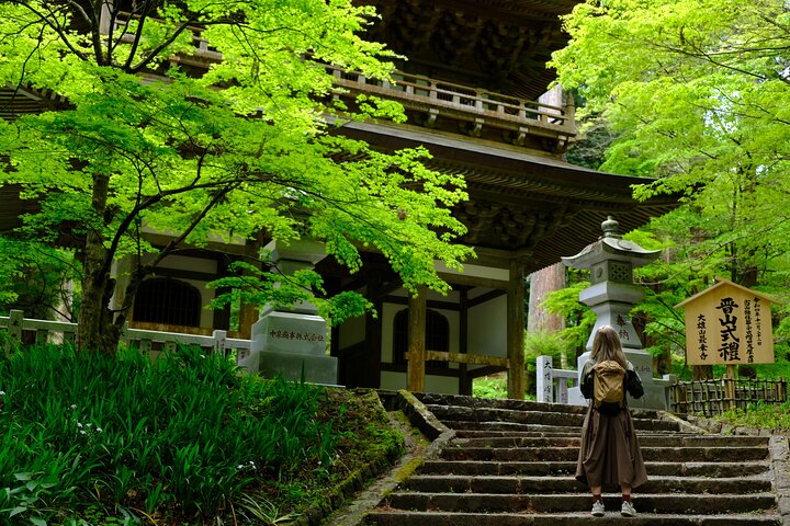 Forest Bathing in Temple and Enjoy onsen with healing power