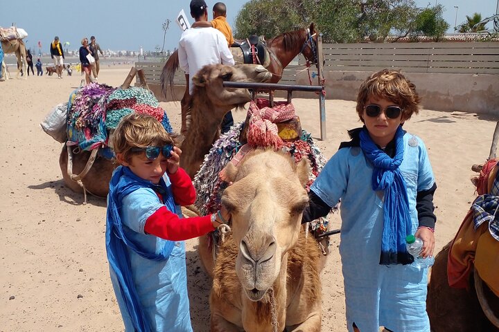 Essaouira Camel Ride, Quad Bike & Buggy Adventure