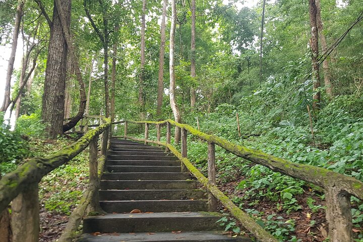 Visit Dantewada(Angel Land), Blue Temple, and Sticky Waterfall