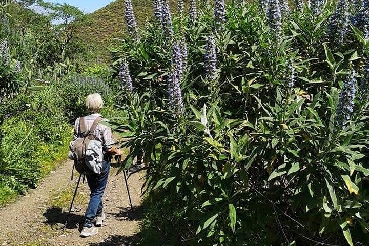 Gran Canaria private walks