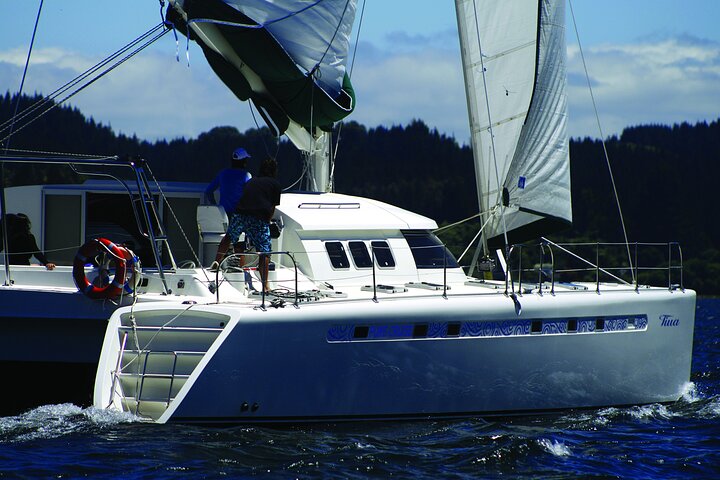 Luxury Sailing - Māori Rock Carvings - Taupo Sailing Adventures