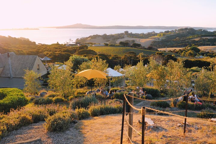 Sip & Savour through Waiheke Island (11 guests max)