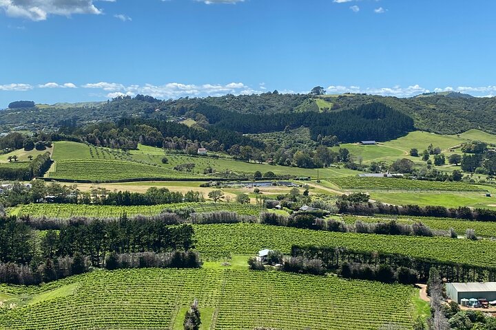Sip & Savour through Waiheke Island (11 guests max)