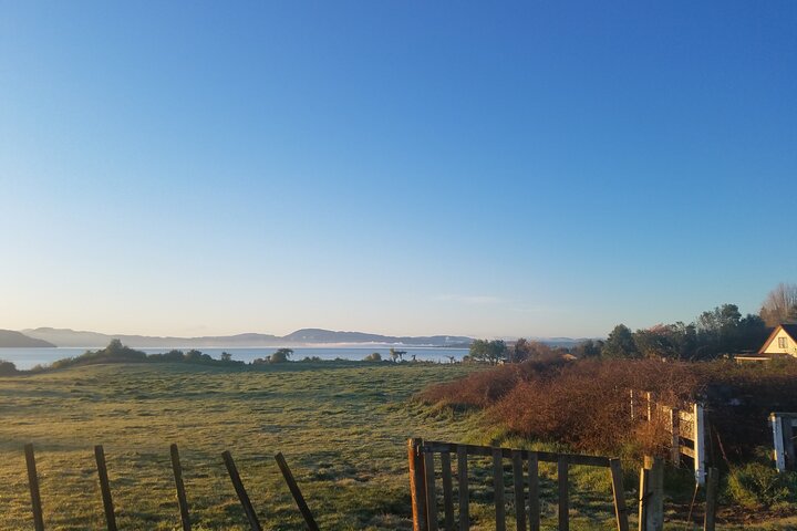 Private, via beaches, Kiwi farm to Rotorua 8 lakes & Geothermal