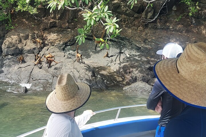 Tortuga Island Private Full-Day Boat Tour