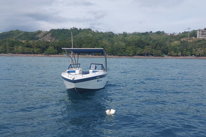 Tortuga Island Private Full-Day Boat Tour