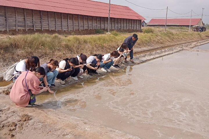 Kampot Pepper Tour, Salt Field, Cave Temple, Secret Lake