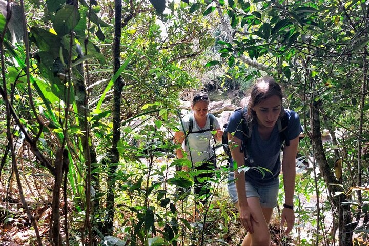 Kampot Day Tour "Bokor National Park"