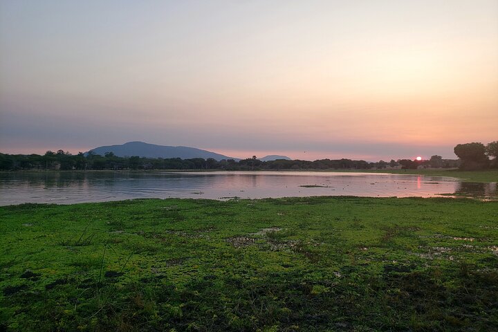 1 Night Exclusive Rustic Luxury Safari Camp Nyerere National Park
