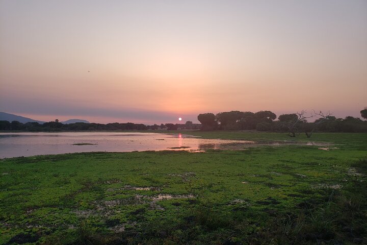 1 Night Exclusive Rustic Luxury Safari Camp Nyerere National Park
