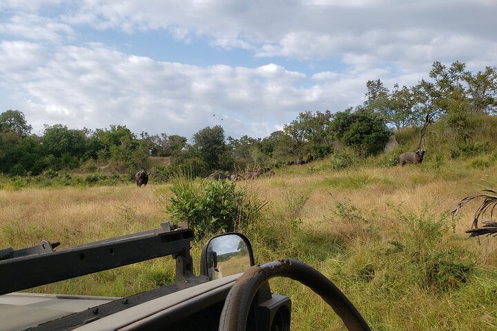 1 Night Exclusive Rustic Luxury Safari Camp Nyerere National Park