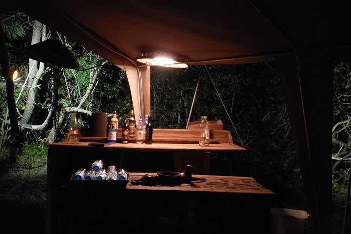 1 Night Exclusive Rustic Luxury Safari Camp Nyerere National Park