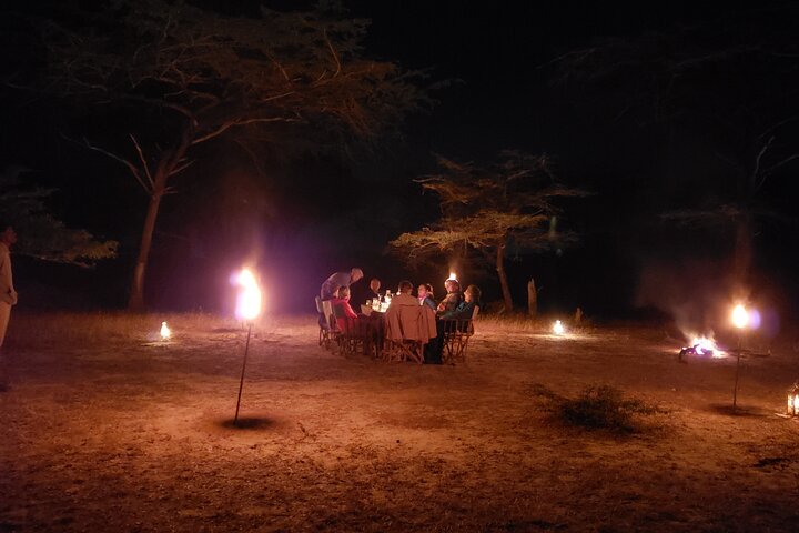 1 Night Exclusive Rustic Luxury Safari Camp Nyerere National Park