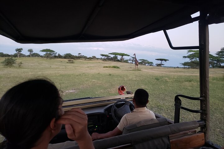 1 Night Exclusive Rustic Luxury Safari Camp Nyerere National Park