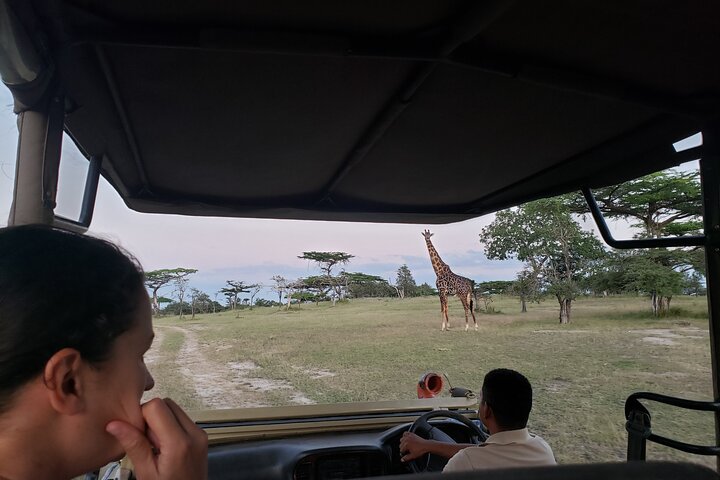 1 Night Exclusive Rustic Luxury Safari Camp Nyerere National Park