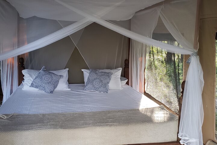 1 Night Exclusive Rustic Luxury Safari Camp Nyerere National Park