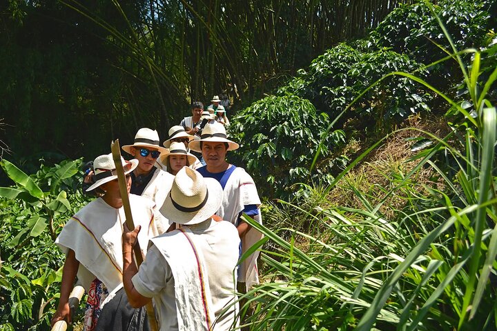 Coffee Farm and Santa Rosa Hot Springs Tour from Pereira or Armenia