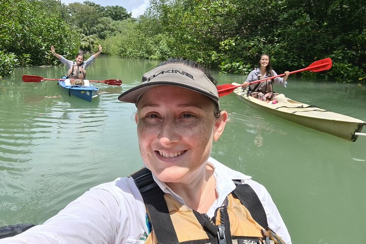 Mangrove Forest Kayak Exploration