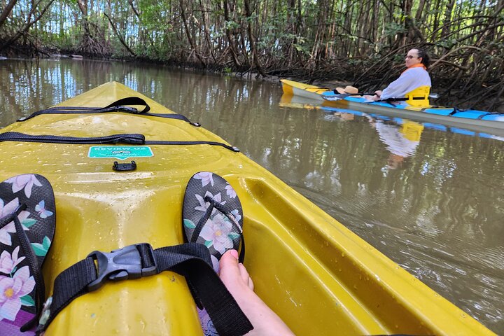 Mangrove Forest Kayak Exploration
