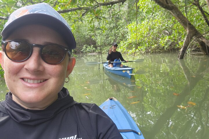 Mangrove Forest Kayak Exploration