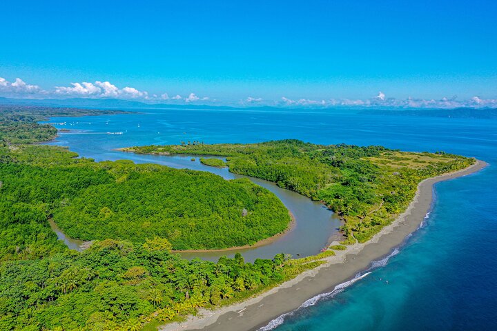Mangrove Forest Kayak Exploration