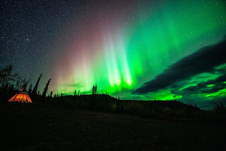 Arctic Day: Aurora Viewing Tour | late night