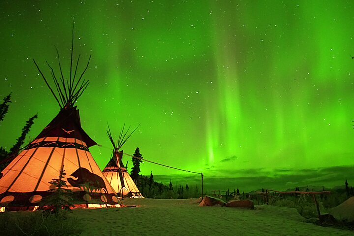 Arctic Day: Aurora Viewing Tour | late night